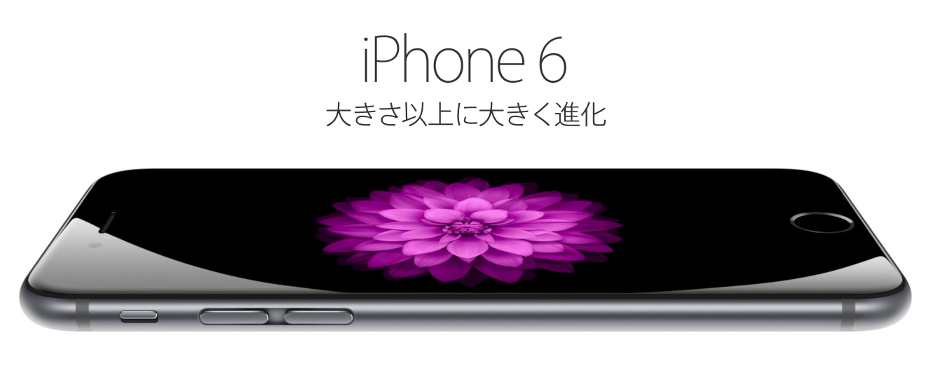iphone6/6plus